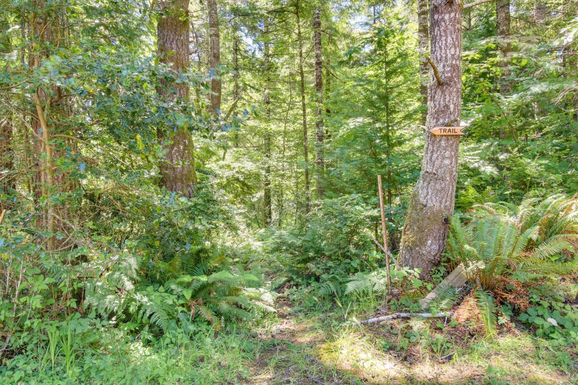 Rustic Bandon Log Cabin On 5 Acres Of Woodlands! Eksteriør billede